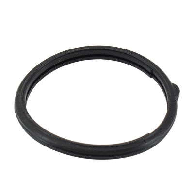 Seal, thermostat (01679)