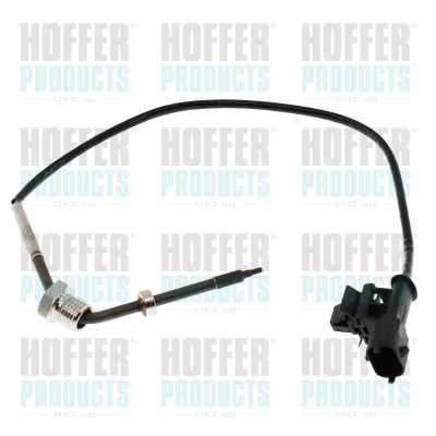 Sensor, exhaust gas temperature (7452750)