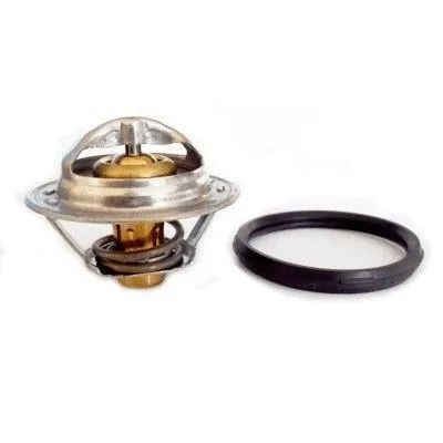 Thermostat, coolant (8192830)
