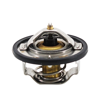 Thermostat, coolant (8192925)