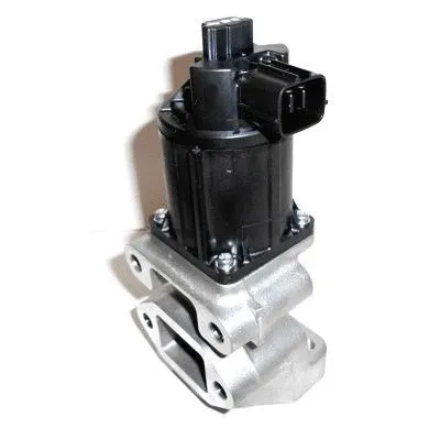 EGR Valve (7518240)