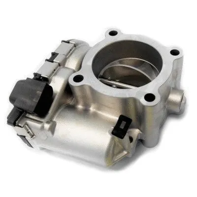 Throttle Body (7519240)