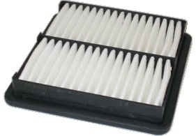 Air Filter (16071)