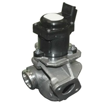 EGR Valve (7518086R)