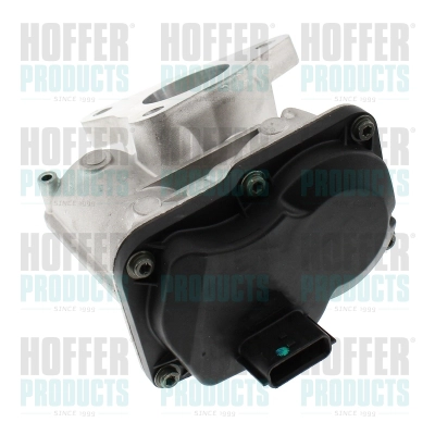 EGR Valve (7518490E)