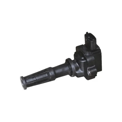 Ignition Coil (8010507)