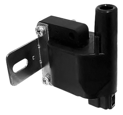 Ignition Coil (8010571)