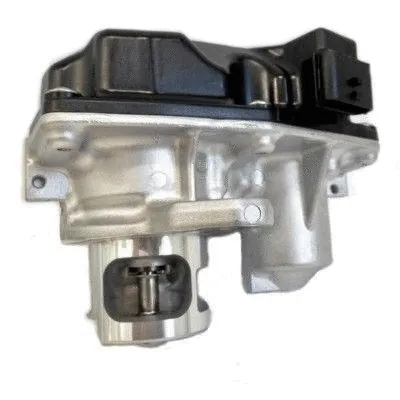 EGR Valve (7518281)