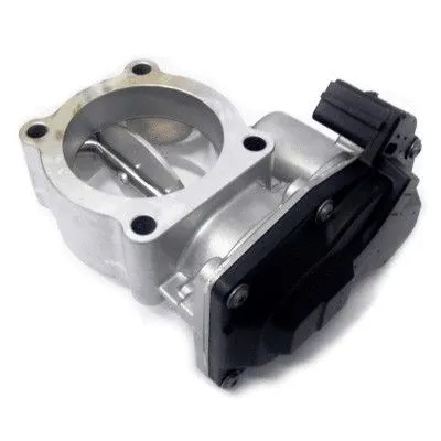 Throttle Body (7519223)