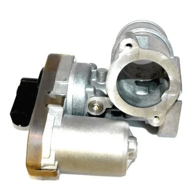 EGR Valve (7518239)