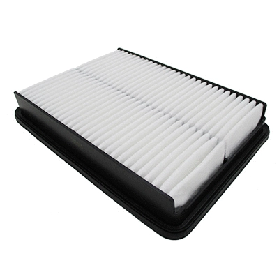 Air Filter (18508)