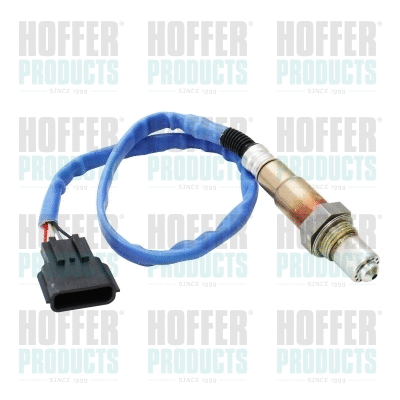 Lambda Sensor (74811011E)