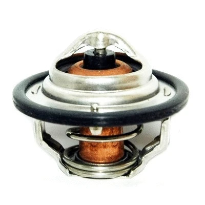 Thermostat, coolant (8192093)