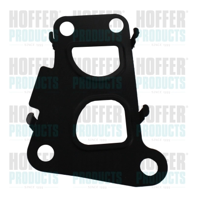 Gasket, EGR valve (016121)