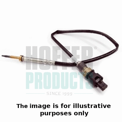 Sensor, exhaust gas temperature (7452029E)