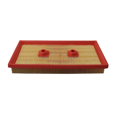 Air Filter (18495)