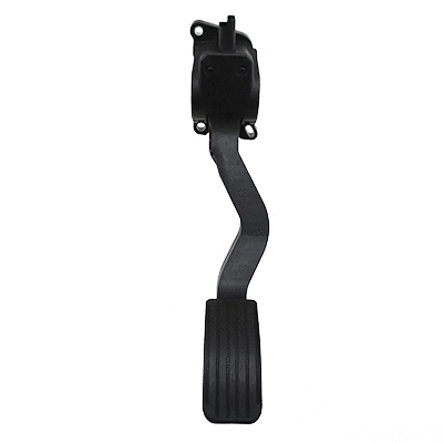 Accelerator Pedal Unit (7513692)