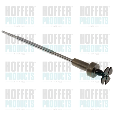 Valve Unit, common rail system (80298613)