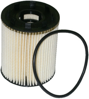 Oil Filter (14069)