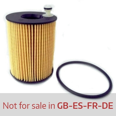 Oil Filter (14142)