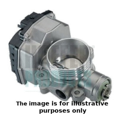 Throttle Body (7519045R)