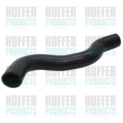 Charge Air Hose (8197138)