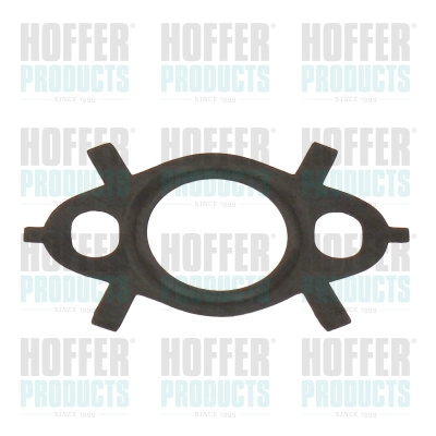 Gasket, EGR valve (016261)