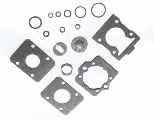 Repair Kit, injection nozzle (750-10006)