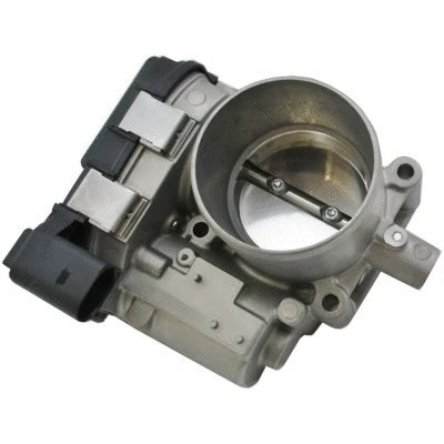 Throttle Body (7519373)