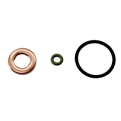 Seal Ring, nozzle holder (98488)