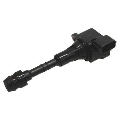 Ignition Coil (8010633)