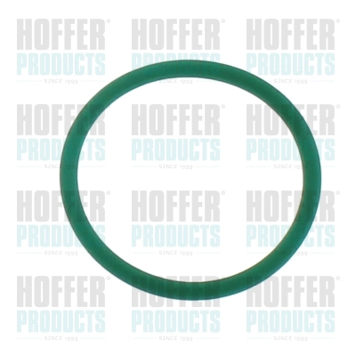 Rubber Ring (98812)