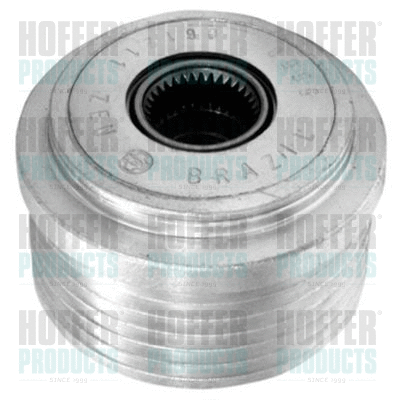 Alternator Freewheel Clutch (45252)