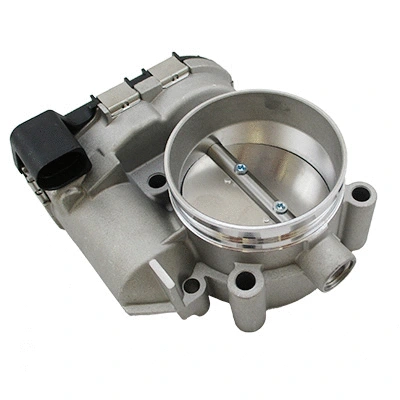 Throttle Body (7519360)