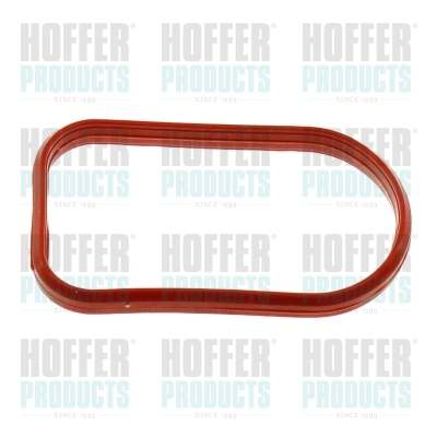 Gasket, intake manifold (016227)