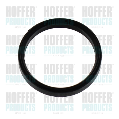 Gasket, intake manifold (016243)