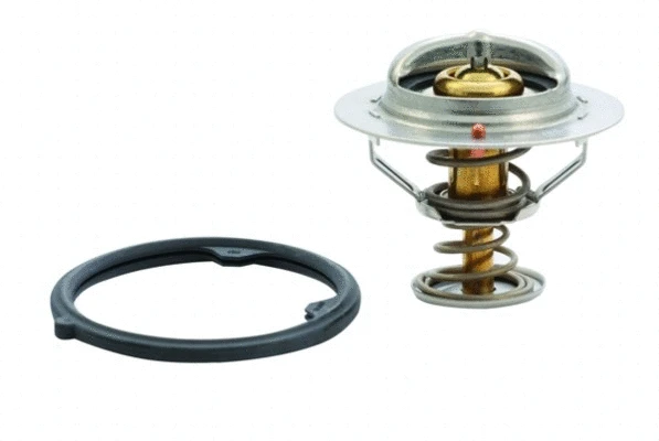 Thermostat, coolant (8192412)
