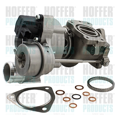 Charger, charging (supercharged/turbocharged) (6900236)