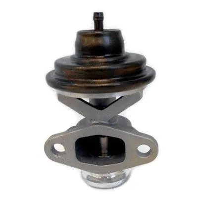 EGR Valve (7518307)