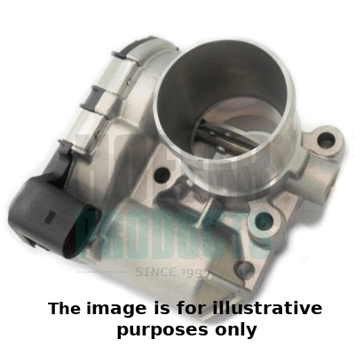 Throttle Body (7519195R)