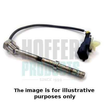 Sensor, exhaust gas temperature (7452096E)