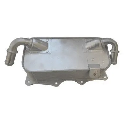 Oil Cooler, engine oil (8095181)