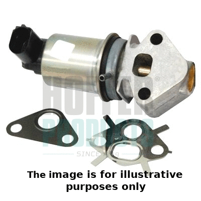 EGR Valve (7518176E)