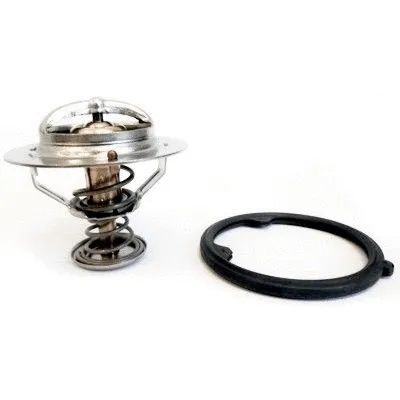 Thermostat, coolant (8192803)