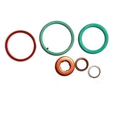 Repair Kit, injection nozzle (9567)