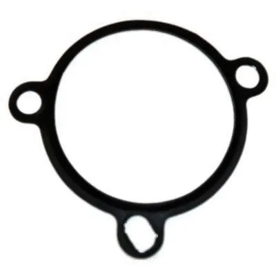 Gasket, EGR valve (01604)