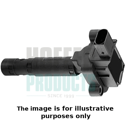 Ignition Coil (8010456E)