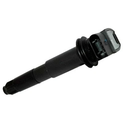 Ignition Coil (8010698)