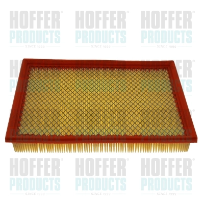 Air Filter (16575)
