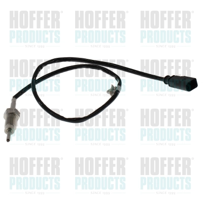 Sensor, exhaust gas temperature (7452720)